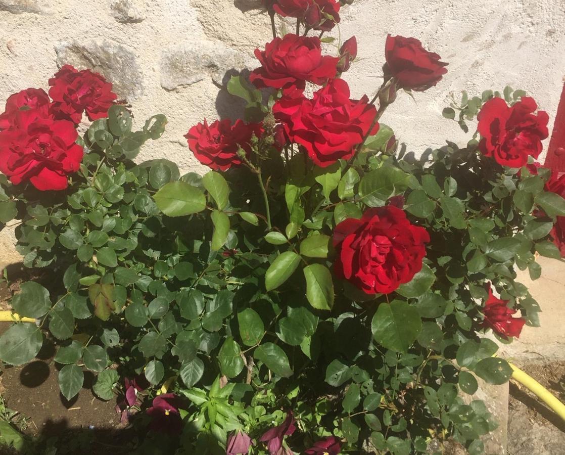 Bed and Breakfast Les Maitres Sonneurs Huriel Esterno foto