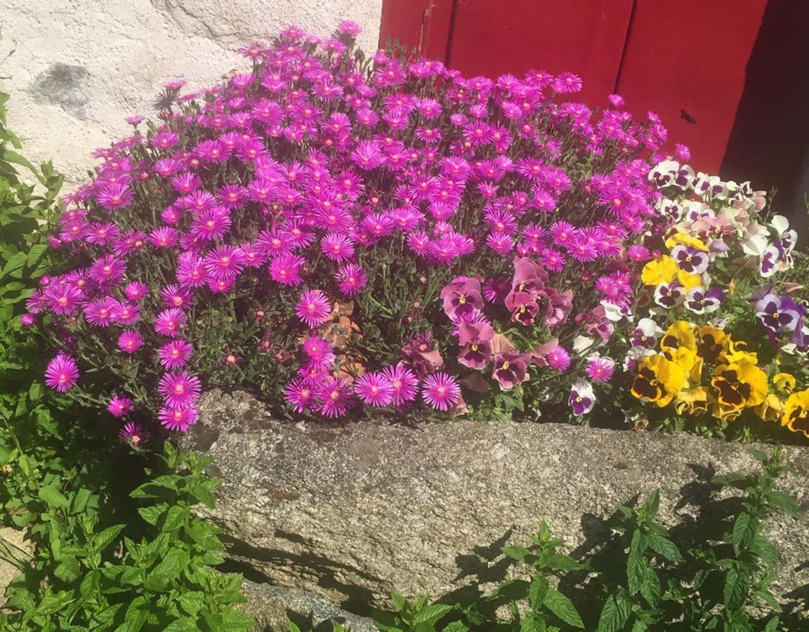 Bed and Breakfast Les Maitres Sonneurs Huriel Esterno foto